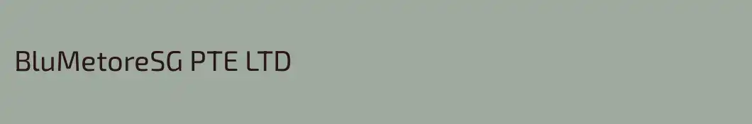 BluMetoreSG PTE LTD 